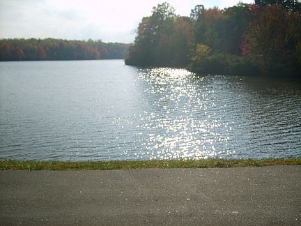 Right click for VIDEO!!