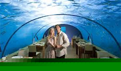 Click for Undersea Hotel News! Undersea Hotel News!