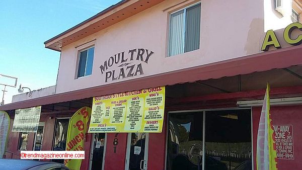 Click for 2020 Travel Reviews! 2020 Travel Reviews