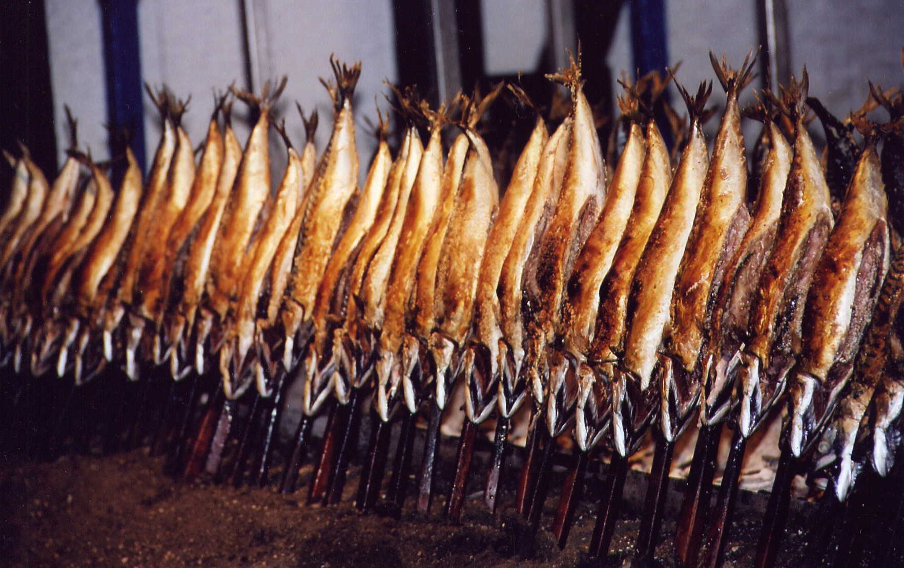 Click to Enlarge Oktoberfest Munich Germany 2024 Pic! Oktoberfest Munich Germany 2024 Pic