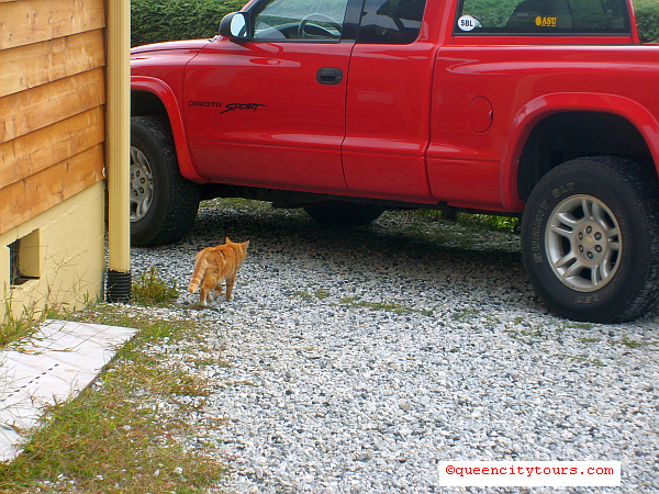 Click To Enlarge Mountain View Restaurant Marion NC Review Pic! Mountain View Restaurant Marion NC Review Pic!