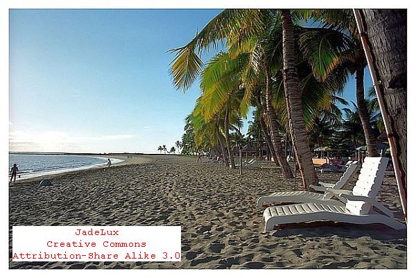 Click for International Travel News! International Travel News