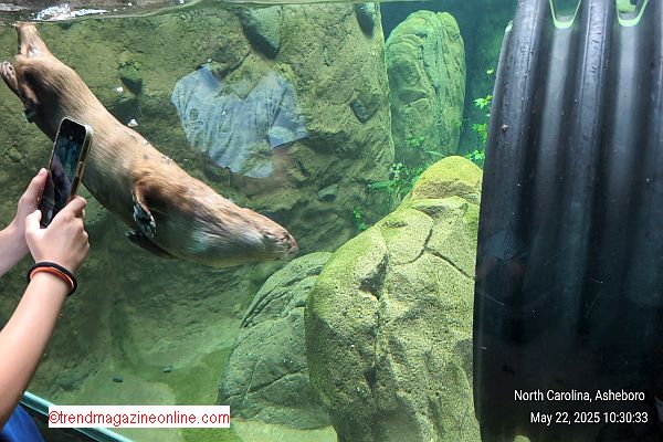 North Carolina Zoo Asheboro 2025 Review Pic!