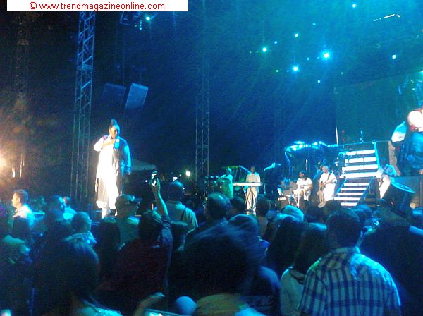 Click to enlarge Pit Bull's New Year's Eve Pic! Pit Bull's New Year's Eve Pic