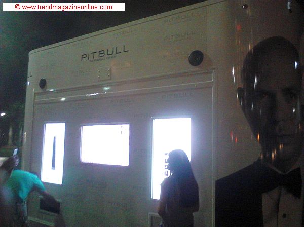 Click to enlarge Pit Bull's New Year's Eve Pic! Pit Bull's New Year's Eve Pic