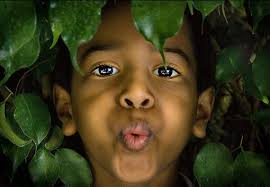 Click for Top Ten Whistles! Top 10 Whistles