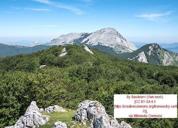 Click for International Travel News! International Travel News