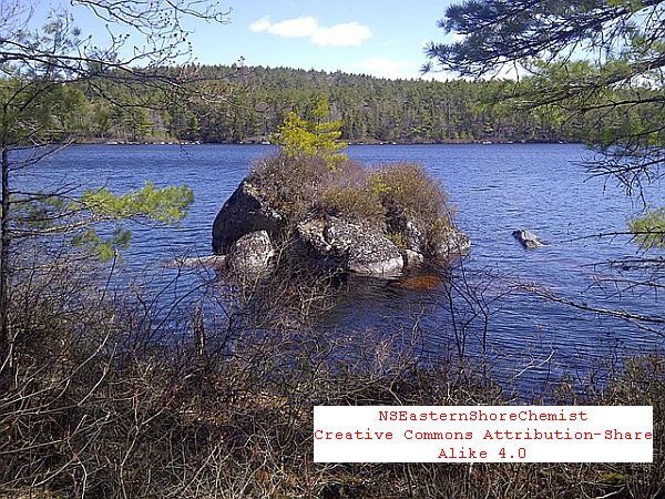 Click for International Travel News! International Travel News