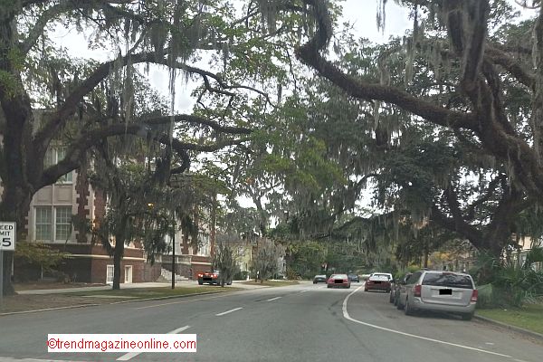 2 Chefs Gullah Geechee Soul Food Savannah Georgia Travel Review Pic!